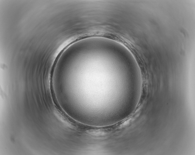 X0000091180100200708091229