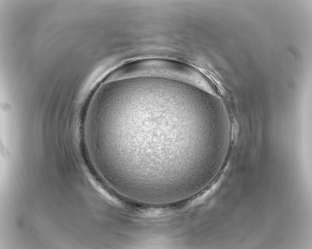 X0000091180101200708091229
