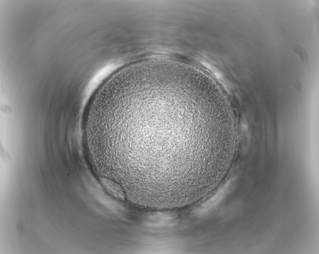 X0000091180102200708091229