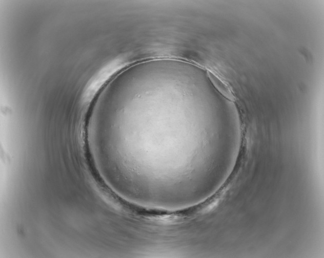 X0000091180103200708091229