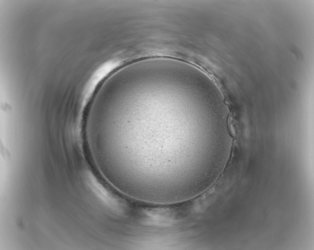 X0000091180104200708091229