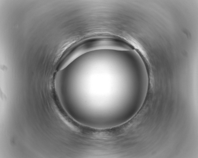 X0000091180105200708091229