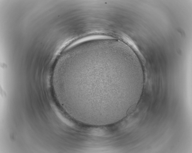 X0000091180106200708091229