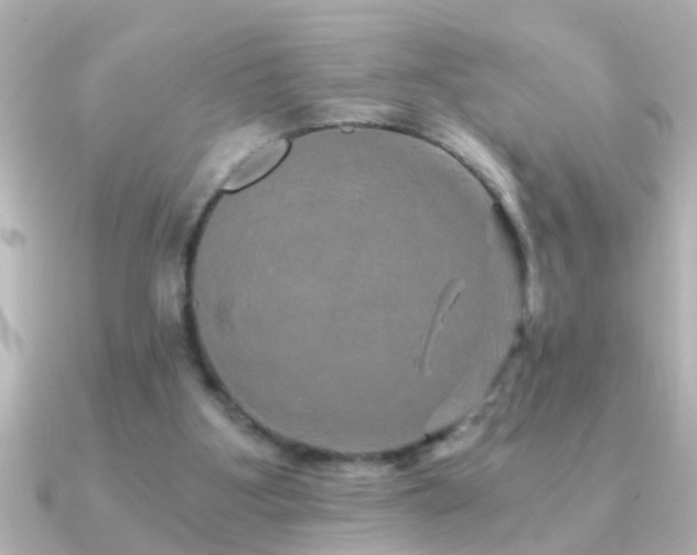 X0000091180107200708091229