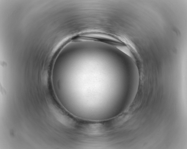 X0000091180108200708091229