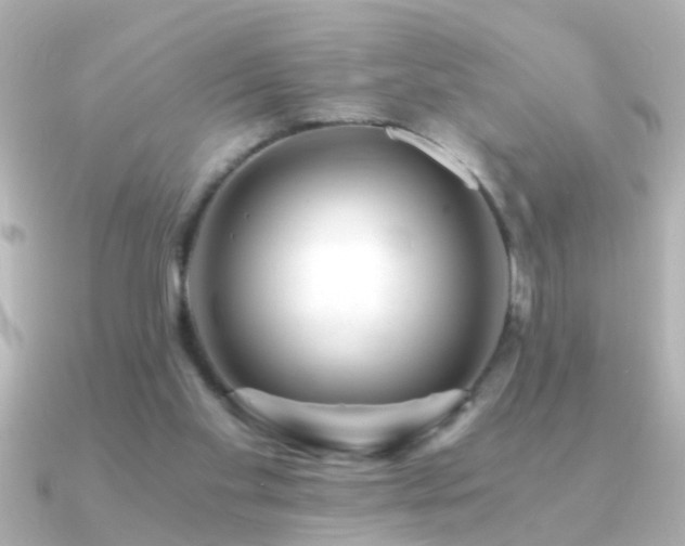 X0000091180109200708091229