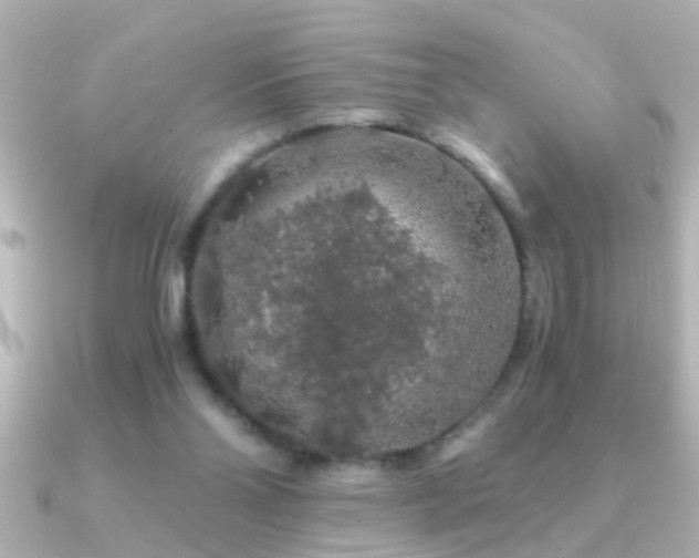 X0000091180110200708091229