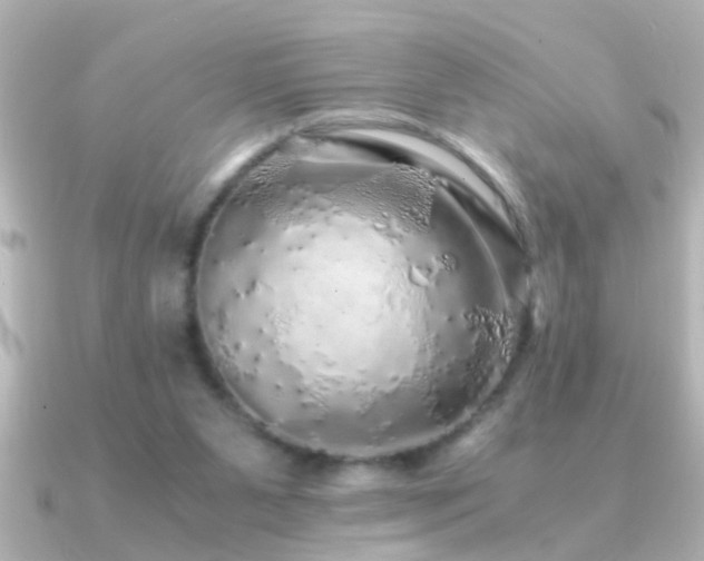 X0000091180111200708091229