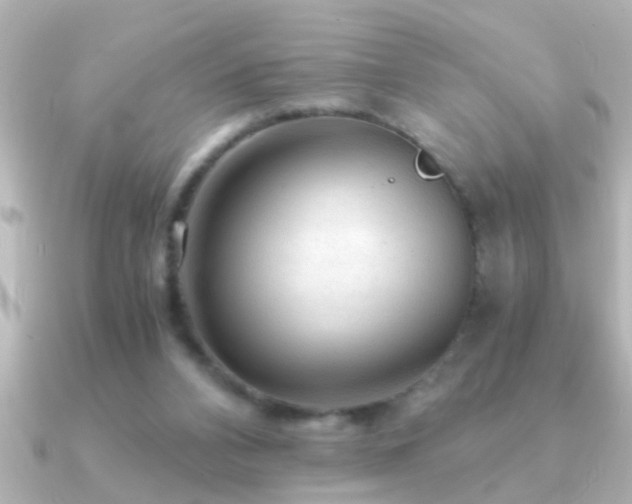 X0000091180112200708091229
