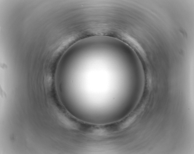 X0000091180113200708091229