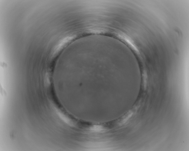 X0000091180114200708091229