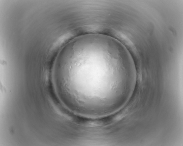 X0000091180115200708091229