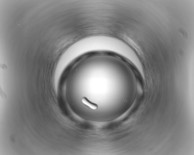 X0000091180117200708091229