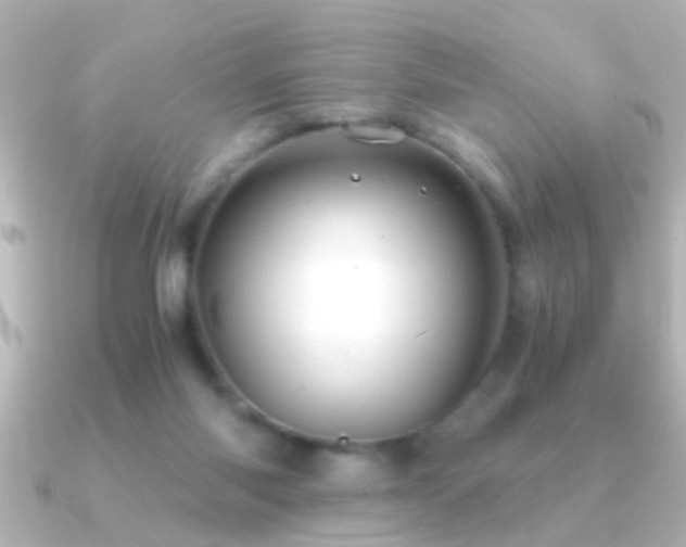 X0000091180118200708091229