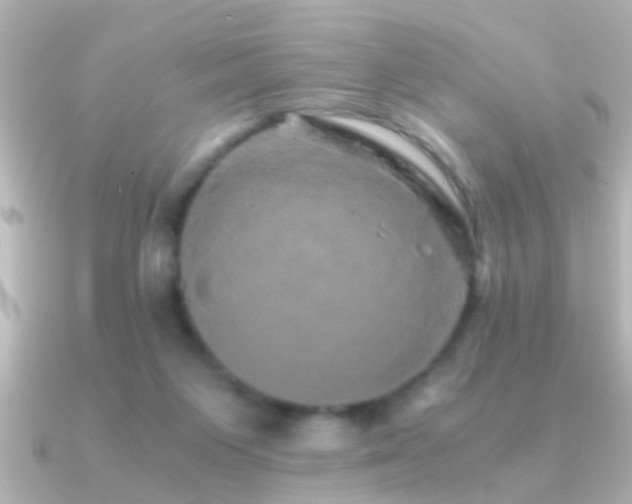 X0000091180119200708091229