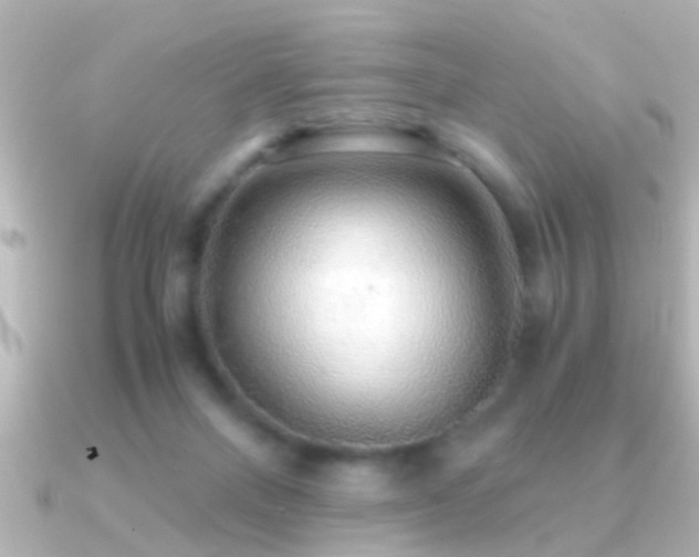 X0000091180120200708091229