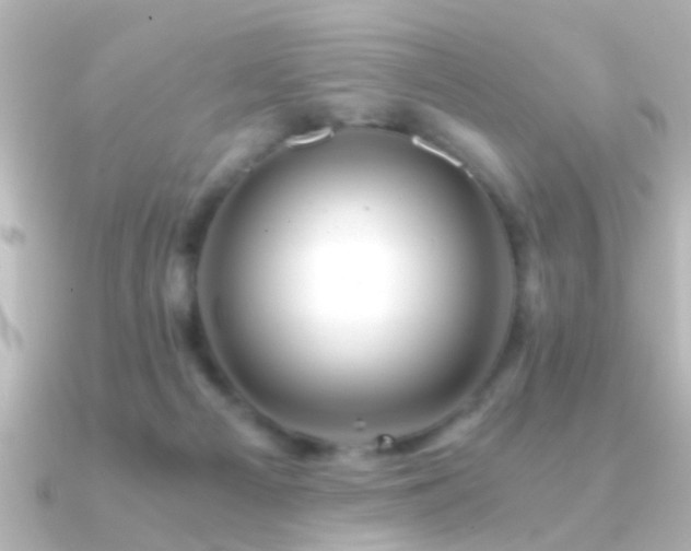 X0000091180121200708091229