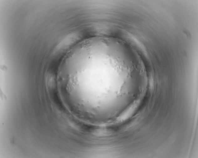 X0000091180123200708091229