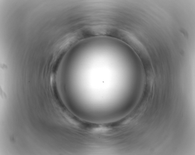 X0000091180125200708091229