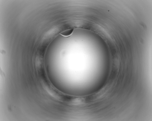 X0000091180126200708091229