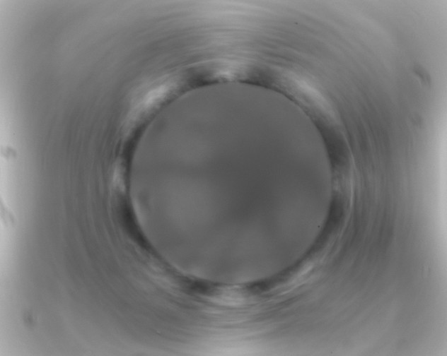 X0000091180127200708091229
