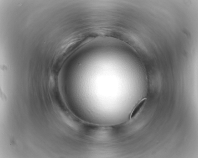 X0000091180128200708091229