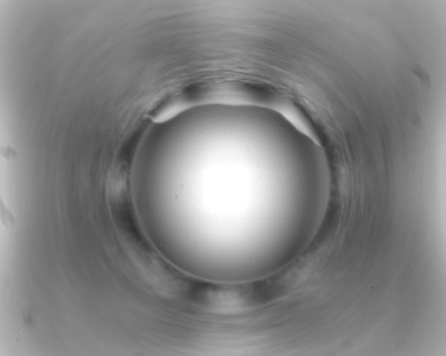 X0000091180129200708091229