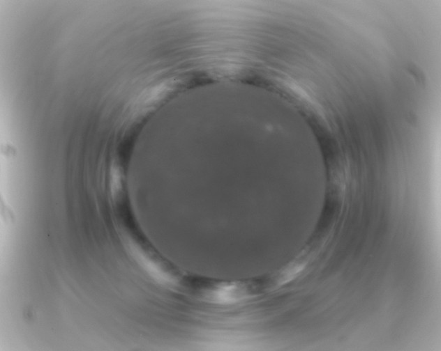 X0000091180130200708091229