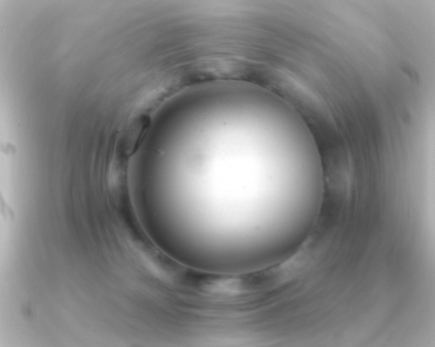 X0000091180132200708091229
