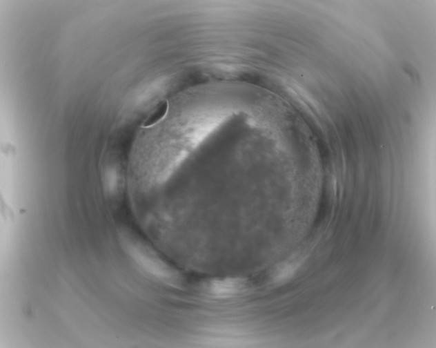 X0000091180134200708091229