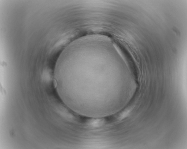 X0000091180135200708091229