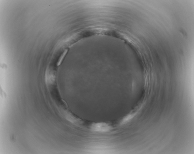 X0000091180137200708091229