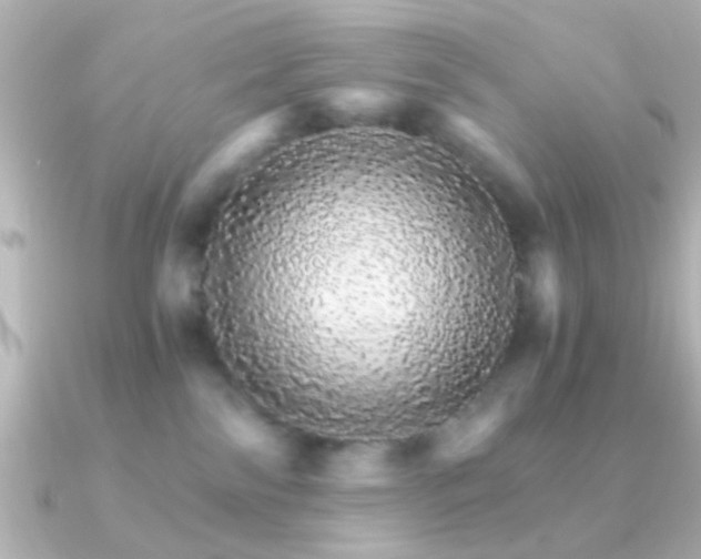 X0000091180138200708091229