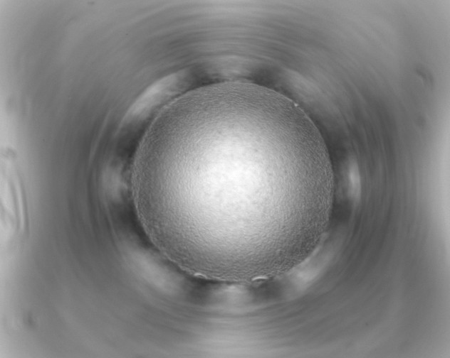 X0000091180140200708091229