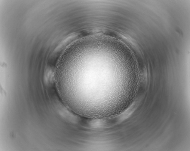 X0000091180142200708091228