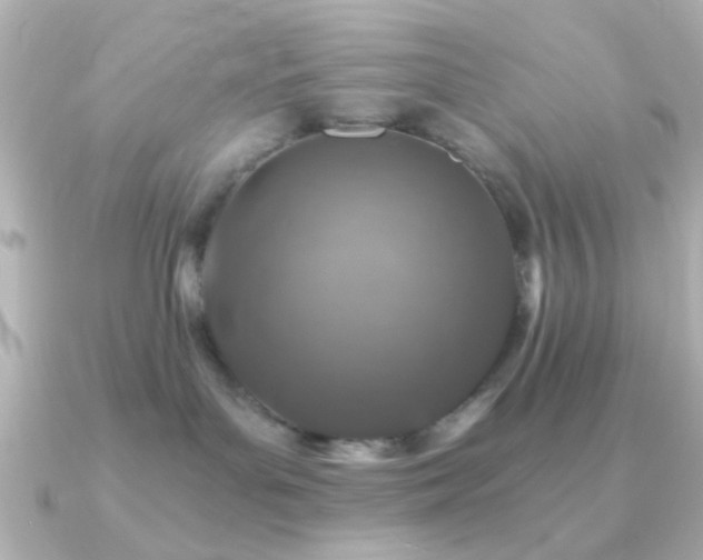 X0000091180143200708091228