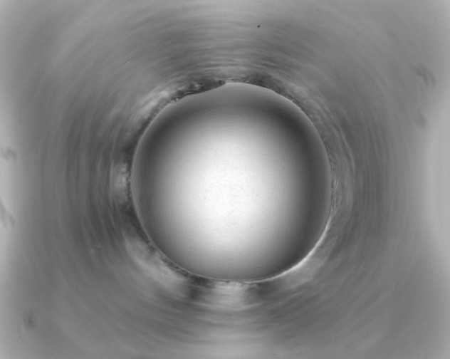X0000091180144200708091228