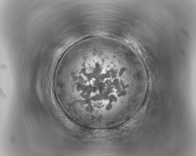 X0000091180145200708091228