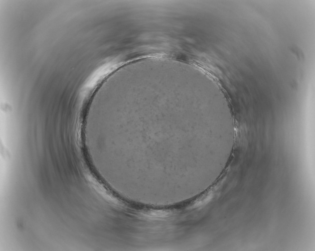 X0000091180149200708091228