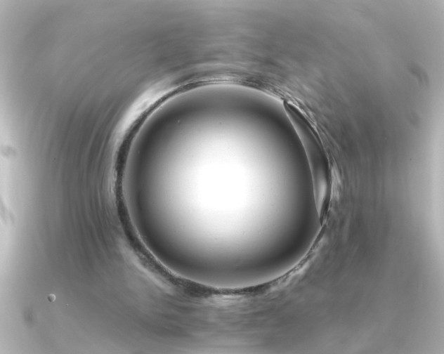X0000091180150200708091228