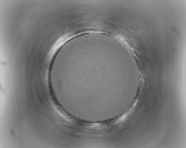 X0000091180151200708091228