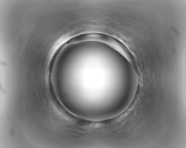 X0000091180152200708091228