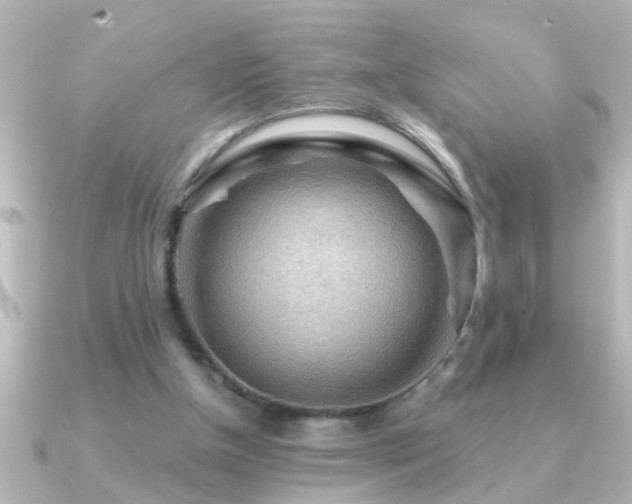 X0000091180154200708091228