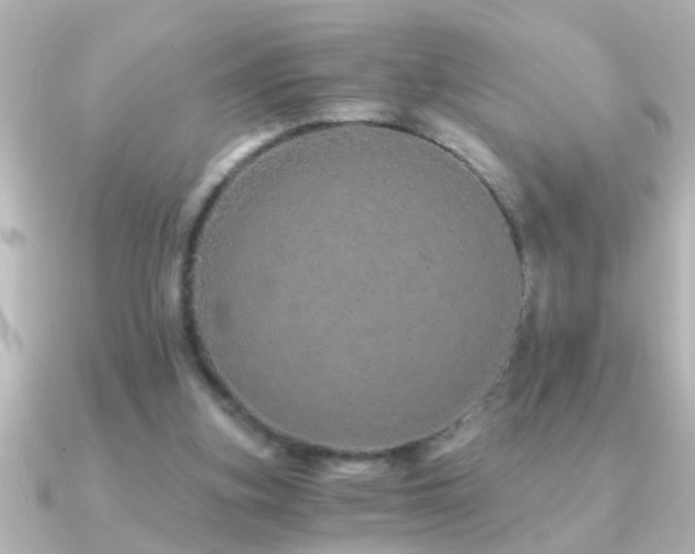 X0000091180155200708091228