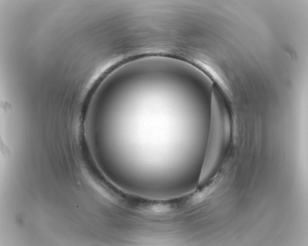 X0000091180156200708091228