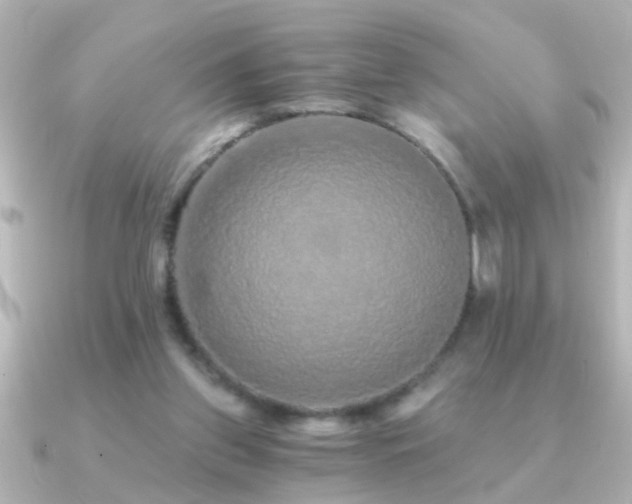 X0000091180157200708091228