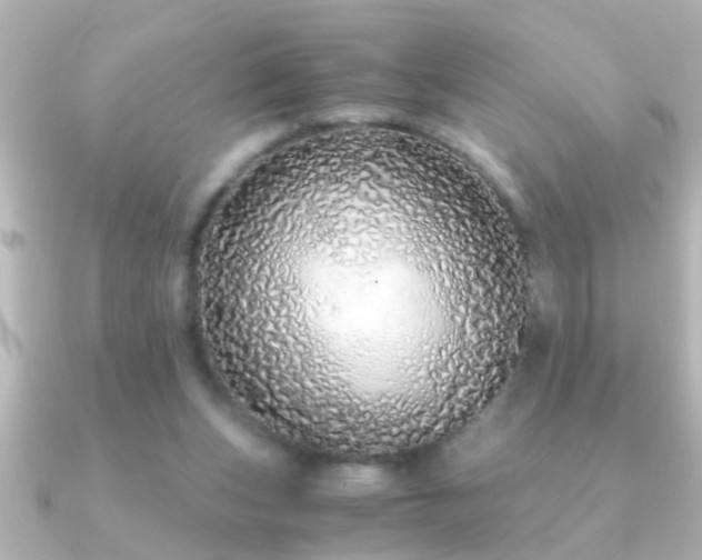 X0000091180159200708091228
