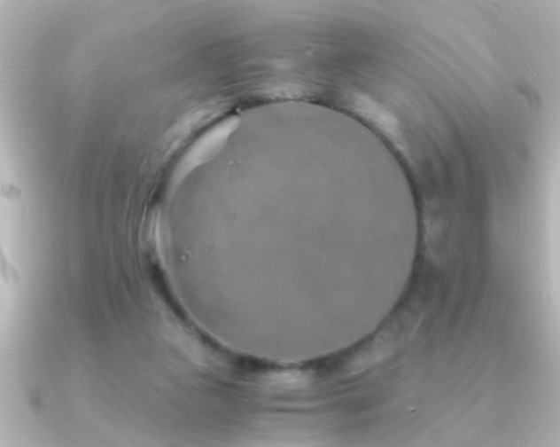X0000091180161200708091228