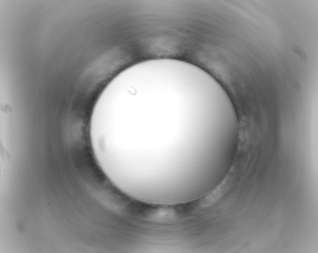 X0000091180162200708091228