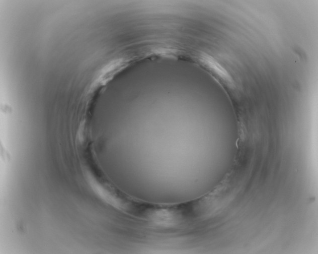 X0000091180163200708091228